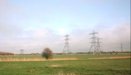 Two converging lines of pylons